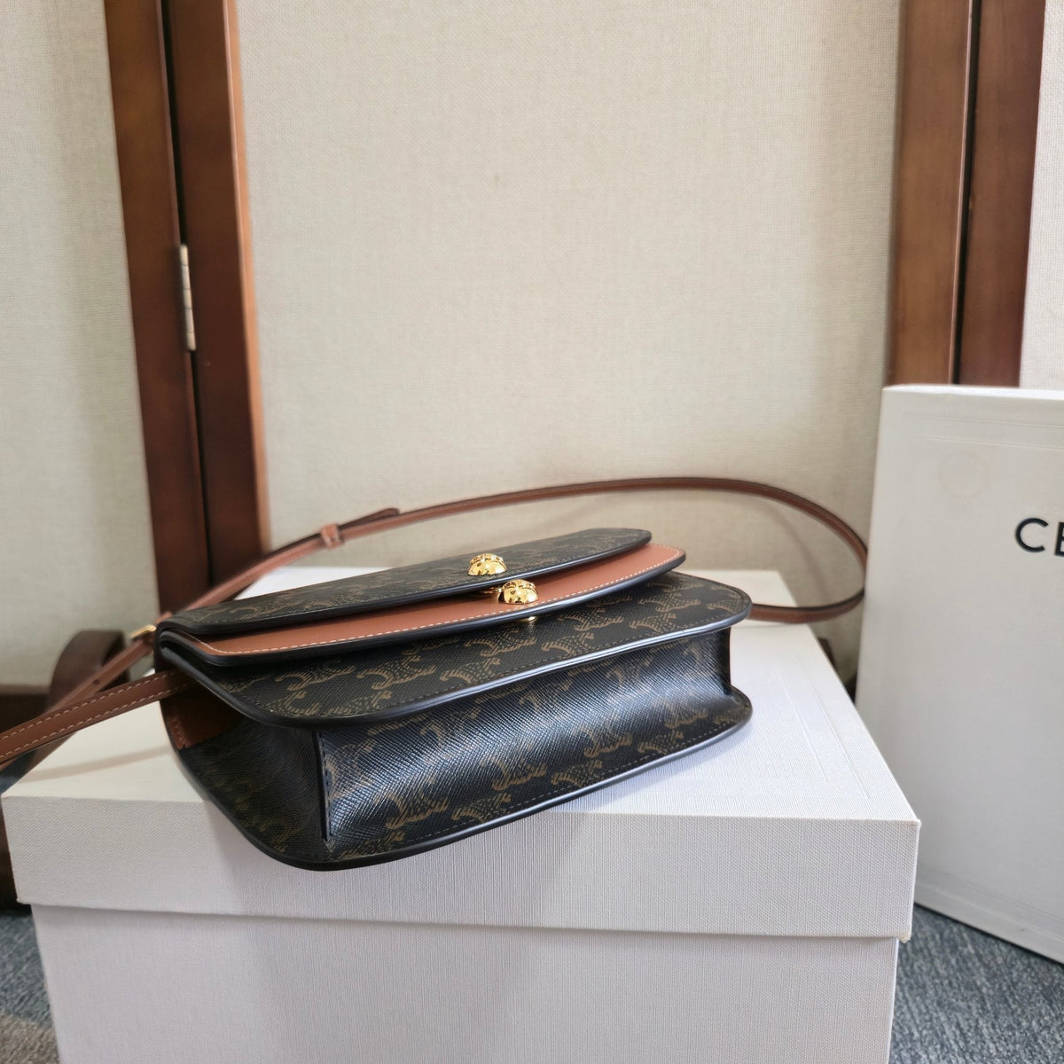 CELINE 25S DUO WALLET ON STRAP 20MM IN TRIOMPHE CANVAS AND CALFSKIN